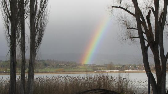 Hotel Christine Garni 7