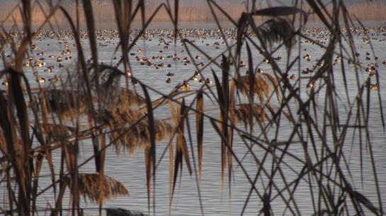 Hotel Christine Garni 8