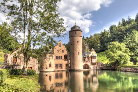 Hotel Zum Wiesengrund 13