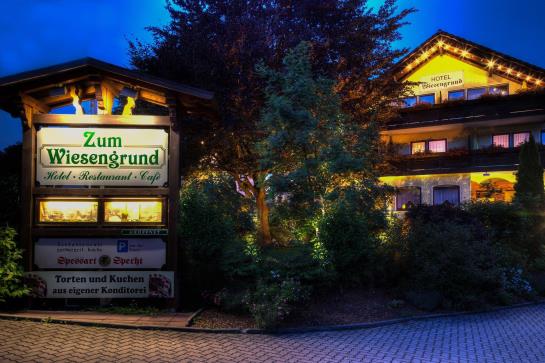Hotel Zum Wiesengrund 19