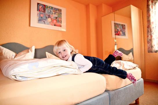 Hotel Pension Grüne Linde 11