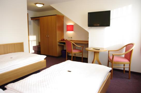 Hôtel Park Eckersbach 3