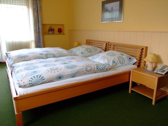 Hotel Am Birkenweg 2