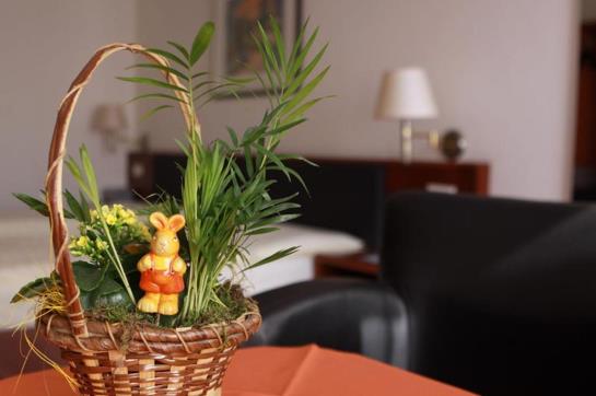 Apartments Seligenstadt 1