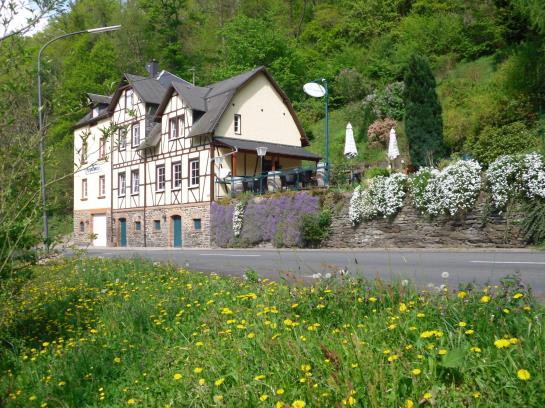 Hotel Haus Jungenwald 6