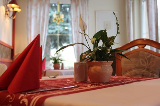 Hotel Eisenberger Hof 2