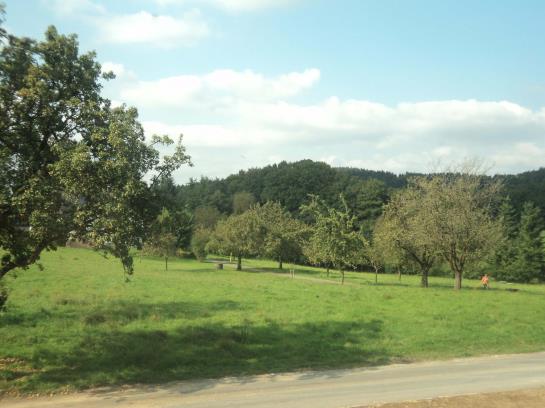 Bed & Breakfast Zum Urberg Pension 6