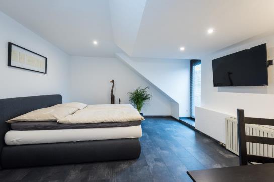 Hôtel Baumberger Rheinterassen 4