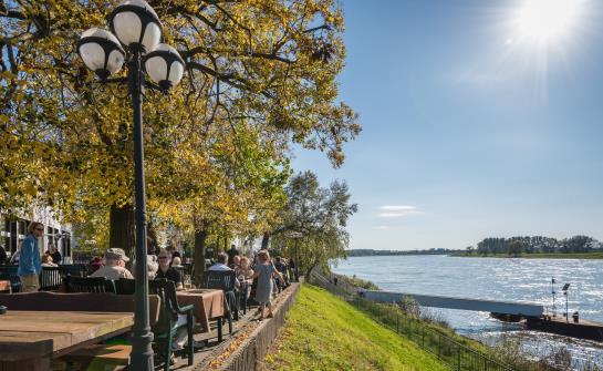 Hôtel Baumberger Rheinterassen 6