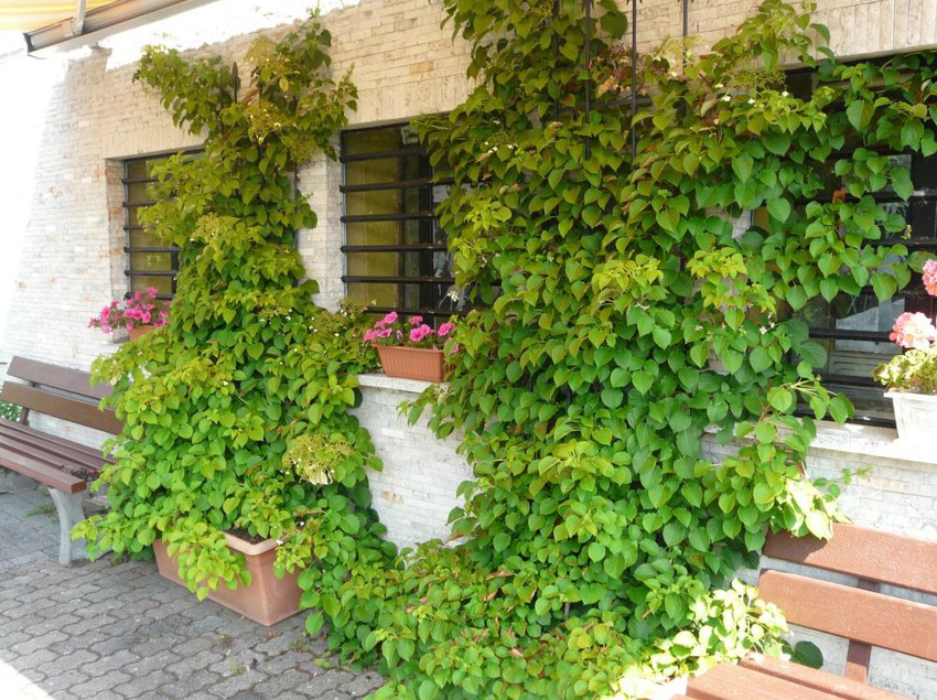 Landhotel Paradais 13