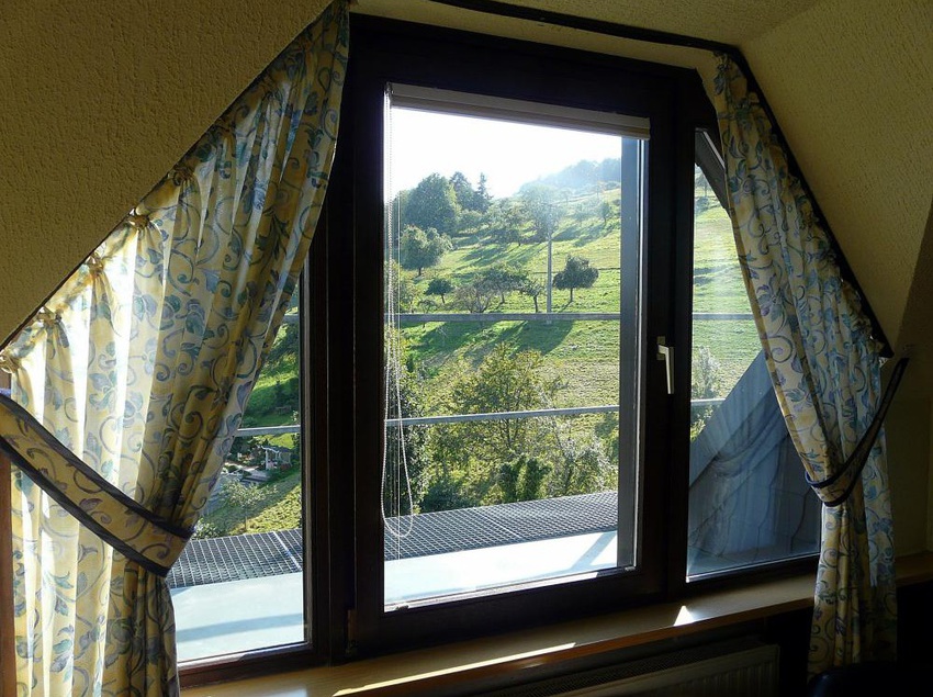 Landhotel Paradais 18