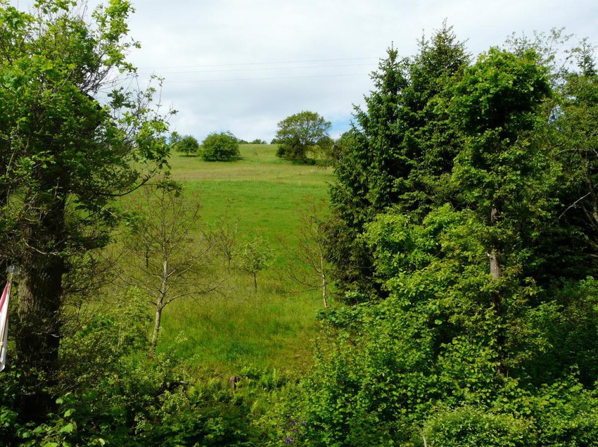 Landhotel Paradais 4