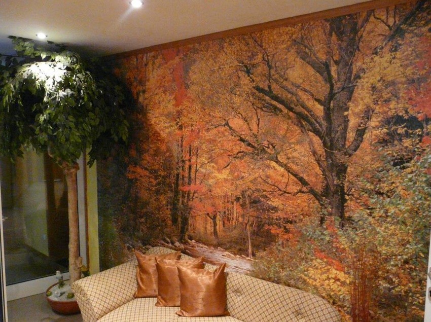 Landhotel Paradais 7