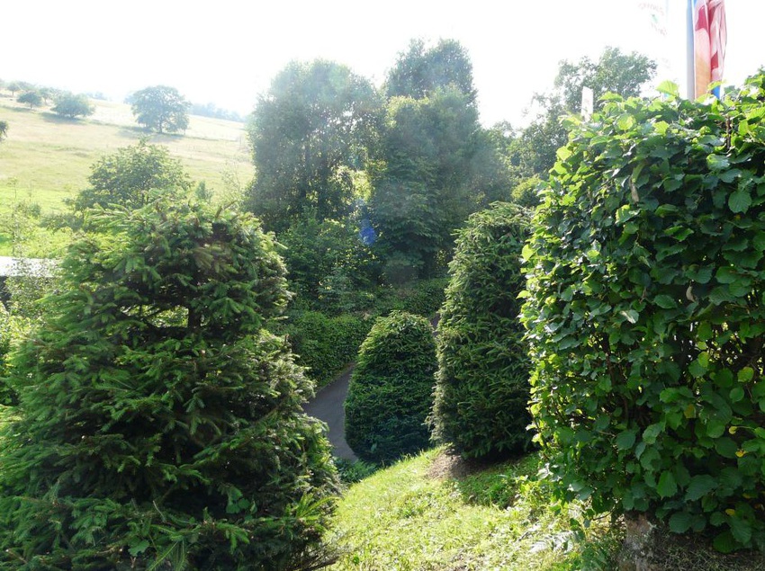 Landhotel Paradais 8