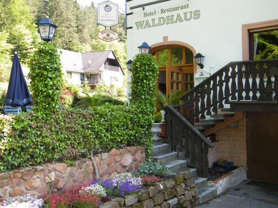 Hotel Waldhaus 10
