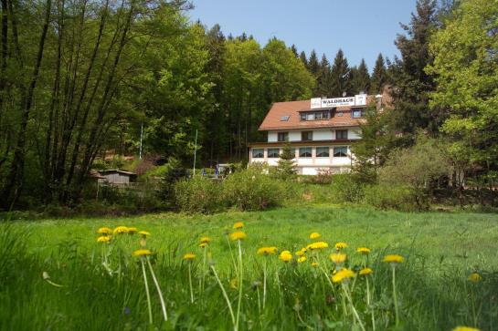Hotel Waldhaus 7