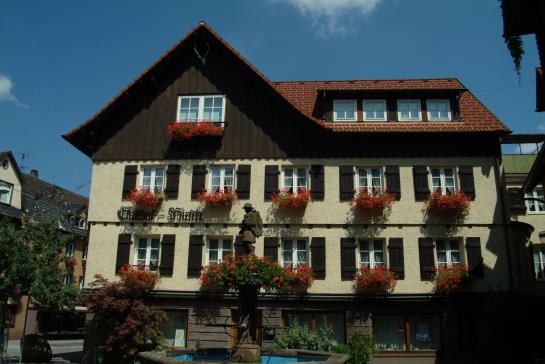 Hotel Hirsch 1