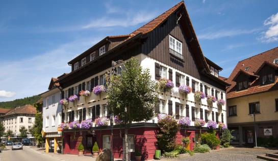 Hotel Hirsch 7