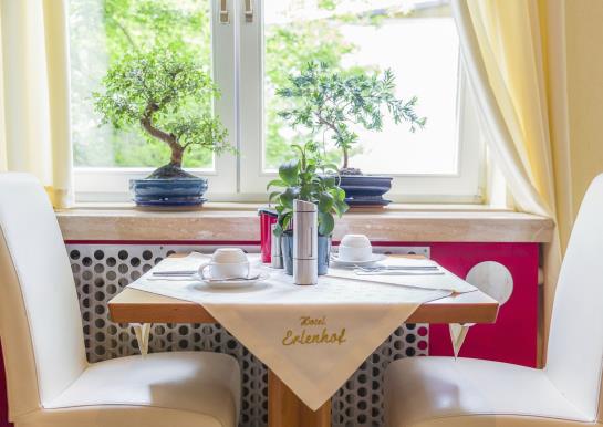 Hotel Erlenhof 11
