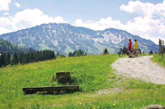 Hotel Edelsberg Berg- Und Aktiv 15