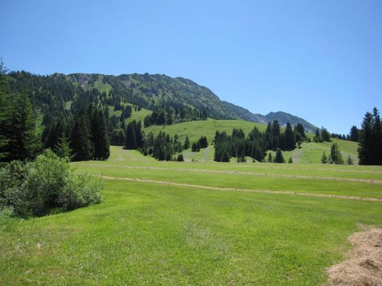 Hotel Edelsberg Berg- Und Aktiv 20