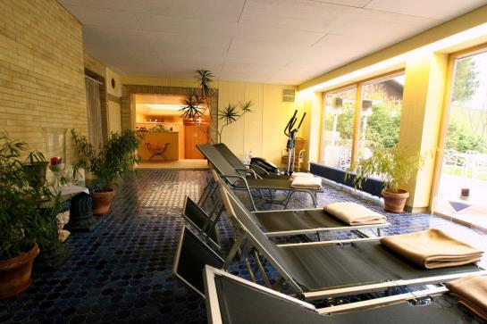 Alpenhotel Sonneck 10