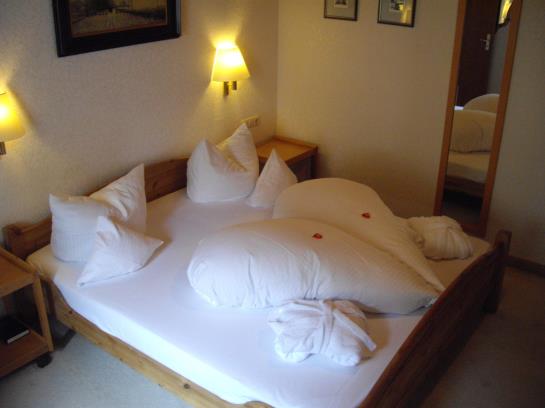 Alpenhotel Sonneck 14