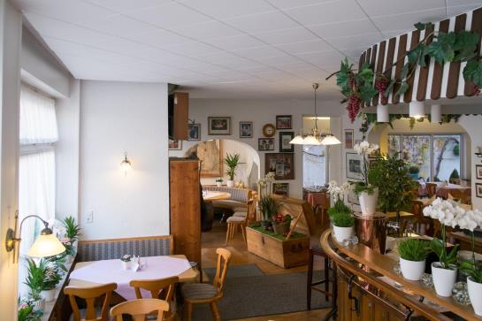 Hotel Zum Rebengarten 5