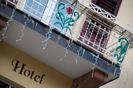 Hotel Rhön Waldcafé Sankt Georg 4