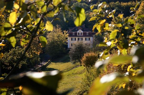 Hotel Rhön Waldcafé Sankt Georg 5