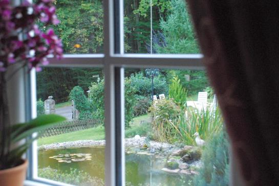 Hotel Rhön Waldcafé Sankt Georg 6