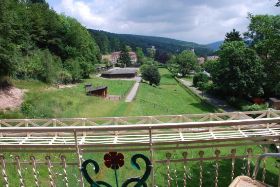 Hotel Rhön Waldcafé Sankt Georg 7