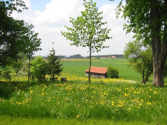 Pensión Landgasthof Kreuz 2
