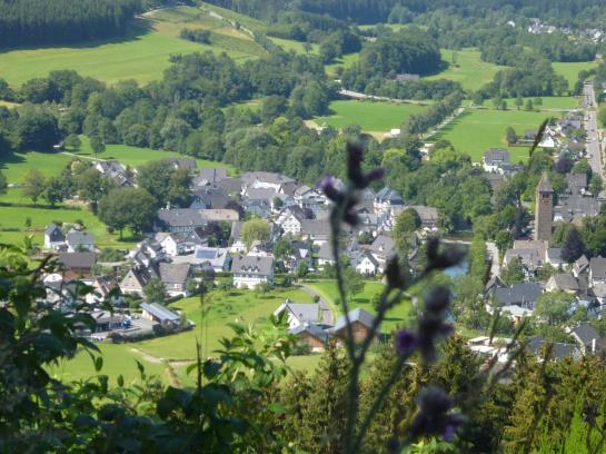 Hotel Rameil-flurschütz 2