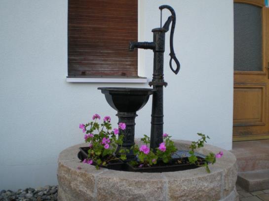 Pension Zur Kurve Gasthof 1