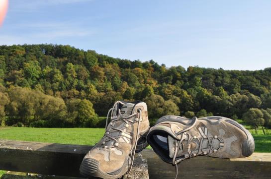 Hotel Haus Wiesengrund 1