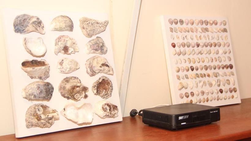 Hostel Pipa Paraíso  | Praia de Pipa | Rio Grande do Norte | Brasil 11