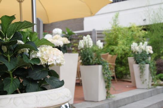 Hotel Am Berghang 13