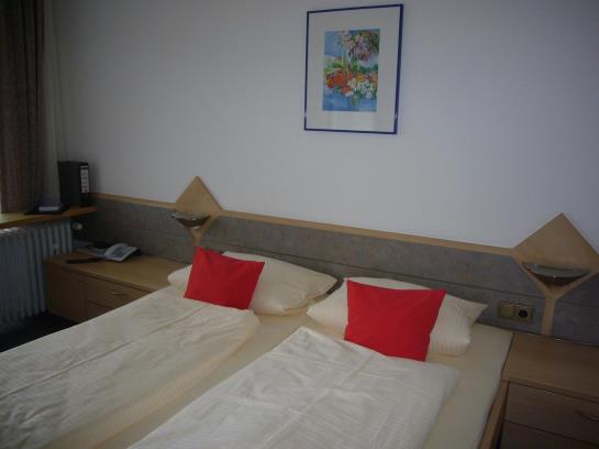 Pension Waldgasthof Zum Geländer 8