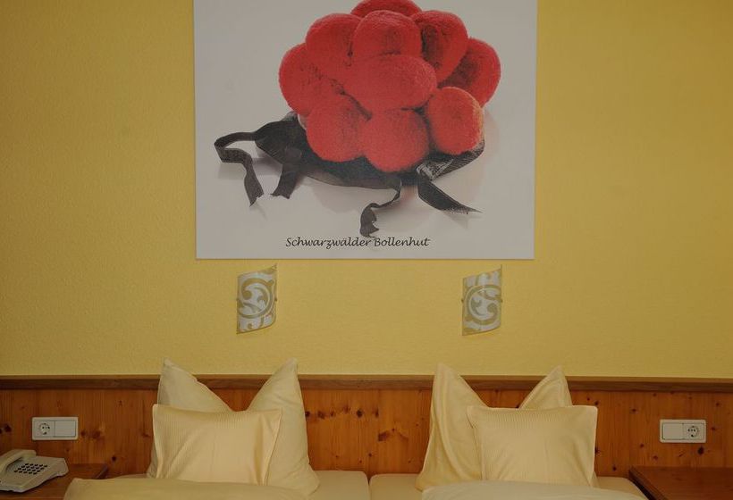 Hotel Renchtalblick 20