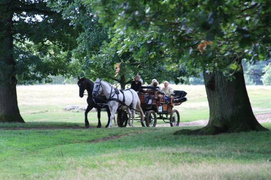 Hotel Schäferhof Schneverdingen Baja Sajonia