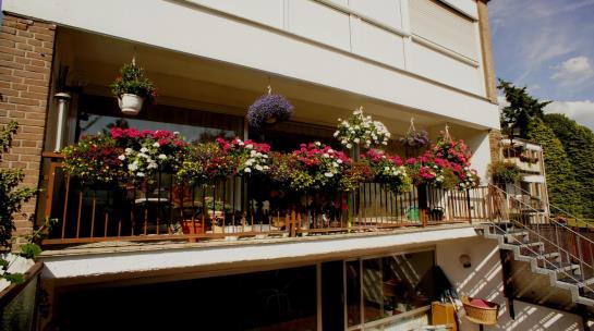 Hotel Haus Am Rieth 17