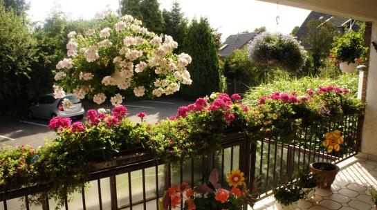 Hotel Haus Am Rieth 18