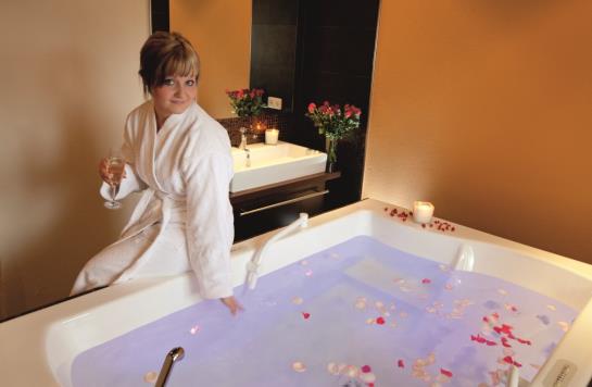 Parkhotel Bad Schandau 1