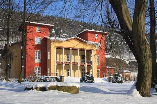 Parkhotel Bad Schandau 11