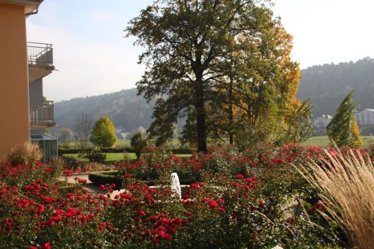 Parkhotel Bad Schandau 12