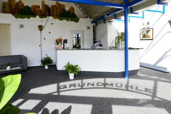 Hotel Grundmühle 19