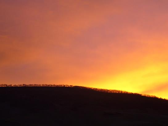 Hotel Christiana's Wein&art 7