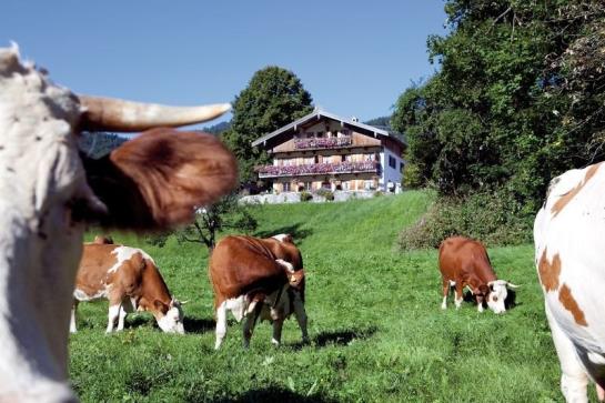 Bauernhof Haus Kandlinger - Kreuth-brunnbichl 4