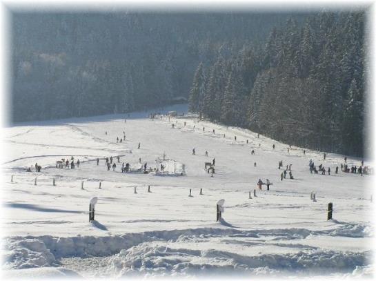 Bauernhof Haus Kandlinger - Kreuth-brunnbichl 9